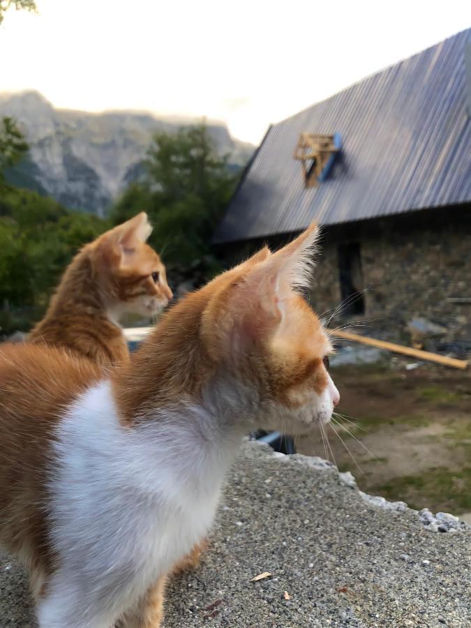 Guesthouse Bec Villi テス エクステリア 写真