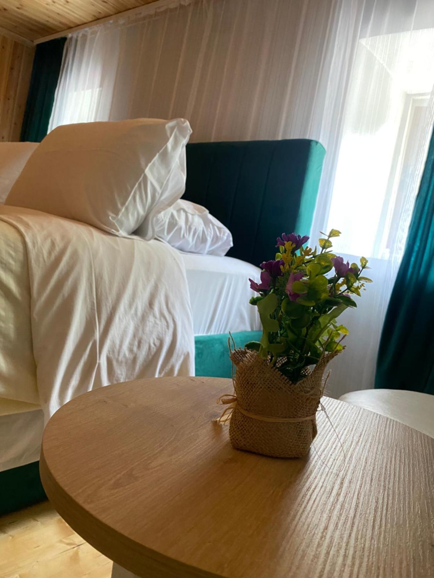 Guesthouse Bec Villi テス エクステリア 写真