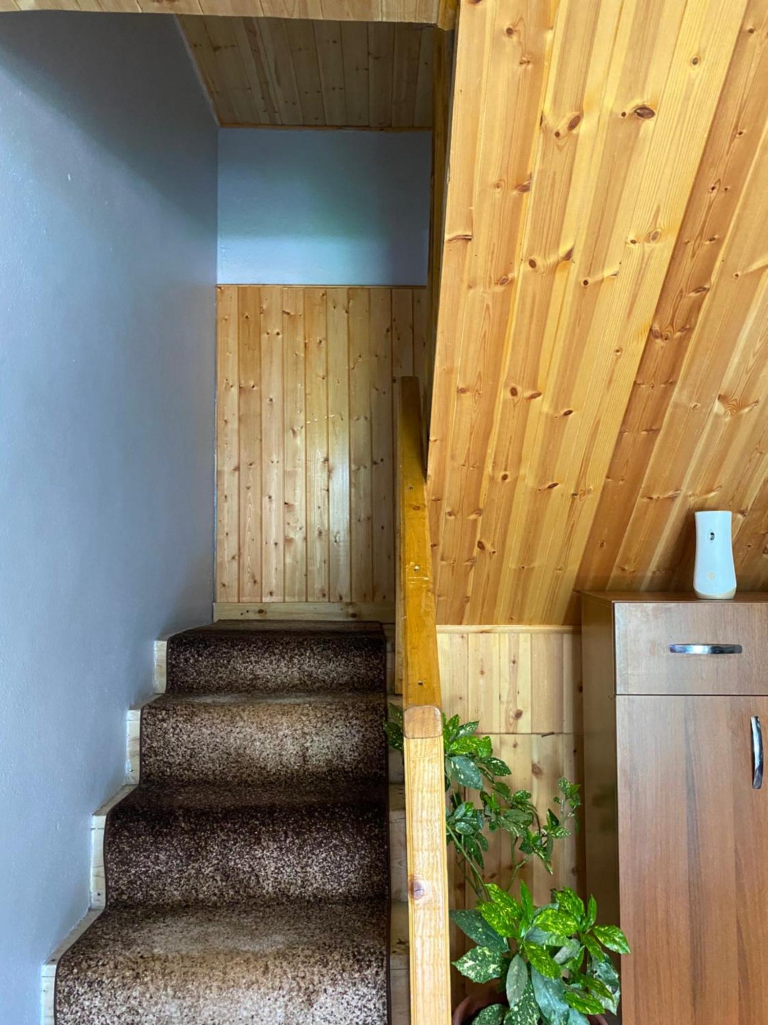 Guesthouse Bec Villi テス エクステリア 写真